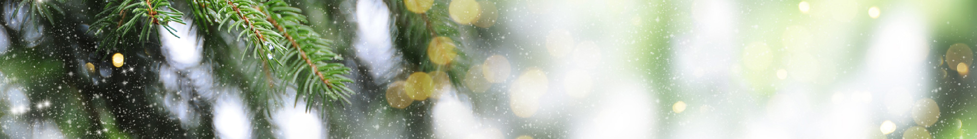 holiday-gala-banner-2 Zoomed in evergreen tree